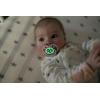 imageDr Browns Advantage Symmetrical Pacifier with Air Flow  Blue GlowinTheDark  2Pack  618m Pack of 24 Pack  GlowintheDark Purple Nature  Scooter Squirrel
