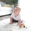 imageDr Browns Baby Lovey Pacifier and Teether Holder Triceratops with Gray HappyPaci 100 Silicone 06m Packaging May VaryGiraffe