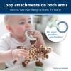 imageDr Browns Baby Lovey Pacifier and Teether Holder Triceratops with Gray HappyPaci 100 Silicone 06m Packaging May VaryGiraffe