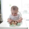 imageDr Browns Baby Lovey Pacifier and Teether Holder Triceratops with Gray HappyPaci 100 Silicone 06m Packaging May VaryGiraffe