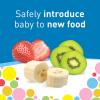 imageDr Browns Designed to Nourish Fresh Firsts Silicone Feeder Grey One Size