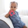imageDr Browns Flexees Friends Orange Fox Soft 100 Silicone Baby Teether BPA Free 3mFox  Orange