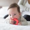 imageDr Browns Flexees Friends Orange Fox Soft 100 Silicone Baby Teether BPA Free 3mFox  Orange