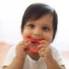 imageDr Browns Flexees Friends Orange Fox Soft 100 Silicone Baby Teether BPA Free 3mFox  Orange
