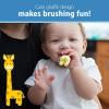 imageDr Browns InfanttoToddler Toothbrush Elephant Mint 03 YearsGiraffe with Toothpaste