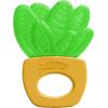 imageDr Browns Learning Loop Baby Teether Ring Multiple Shapes and Textures 100 Silicone BPAFree 3mAquaCool Plants
