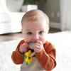 imageDr Browns Learning Loop Silicone Ring Teether Fox  3m