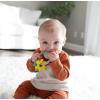 imageDr Browns Learning Loop Silicone Ring Teether Fox  3m