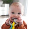 imageDr Browns Learning Loop Silicone Ring Teether Fox  3m