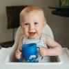 imageDr Browns Milestones Cheers360 Training Sippy Cups with Handles for Babies and Toddlers BPA Free Blue Animal Deco 7oz 6m7oz Cup with Handles  Blue Animals