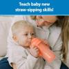 imageDr Browns Milestones Insulated Sippy Cup with Straw and Handles SpillProof Tumbler with Lid 2Pack Pink 10 oz300 mL BPA Free 12m