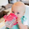 imageDr Browns Milestones Soft Spout Sippy Cup with Handles Blue Tiger Hero BPAFree 9 oz270 mL 9mPink Rainbow