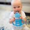 imageDr Browns Milestones WideNeck Sippy Straw Bottle with 100 Silicone Handles and Weighted Straw 9 oz270 mL Blue 6mBlue