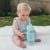 imageDr Browns Milestones WideNeck Sippy Straw Bottle with 100 Silicone Handles and Weighted Straw 9 oz270 mL Blue 6mGray  Green