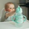 imageDr Browns Milestones WideNeck Sippy Straw Bottle with 100 Silicone Handles and Weighted Straw 9 oz270 mL Blue 6mGray  Green