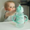 imageDr Browns Milestones WideNeck Sippy Straw Bottle with 100 Silicone Handles and Weighted Straw 9 oz270 mL Blue 6mGreen