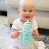 imageDr Browns Milestones WideNeck Sippy Straw Bottle with 100 Silicone Handles and Weighted Straw 9 oz270 mL Blue 6mGreen