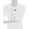 imageDr Browns Reusable Sponge Baby Bottle Cleaning Brush Set with Suction Cup Stand Scrubber and Nipple Cleaner Pink 3 Pack2 Pack  Pink Bottle Brush