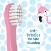 imageDr Browns Toddler Toothbrush Dinosaur Green 1Pack1 Count Pack of 1