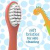 imageDr Browns Toddler Toothbrush Dinosaur Green 1Pack2 Count Pack of 1