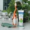 imageDr Browns Toddler Toothbrush Dinosaur Green 1Pack2 Count Pack of 1