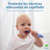 imageDr Browns ToothScrubber Toddler Toothbrush TripleSided Training Toothbrush with Suction Cup Base Green Monster Baby Oral Care Ages 14 Years1 Pack  Purple Monster