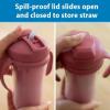 imageDr Browns Milestones Insulated Sippy Cup with Straw and Handles SpillProof Tumbler with Lid 2Pack Pink 10 oz300 mL BPA Free 12m2Pack  Pink