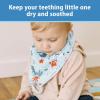 imageDr Browns Bandana Bibs with SnapOn Removable TeetherSea CreaturesWaves